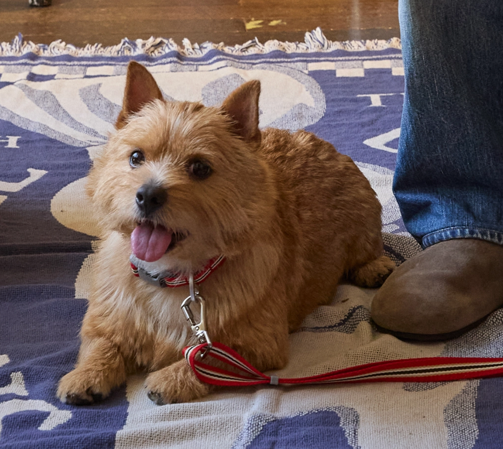 截圖 2025-09-18 下午9.15.57