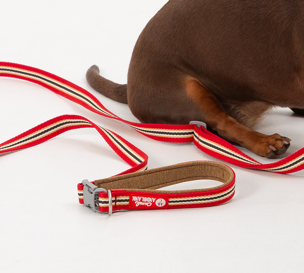 imgi_73_26116c01301dc拷貝