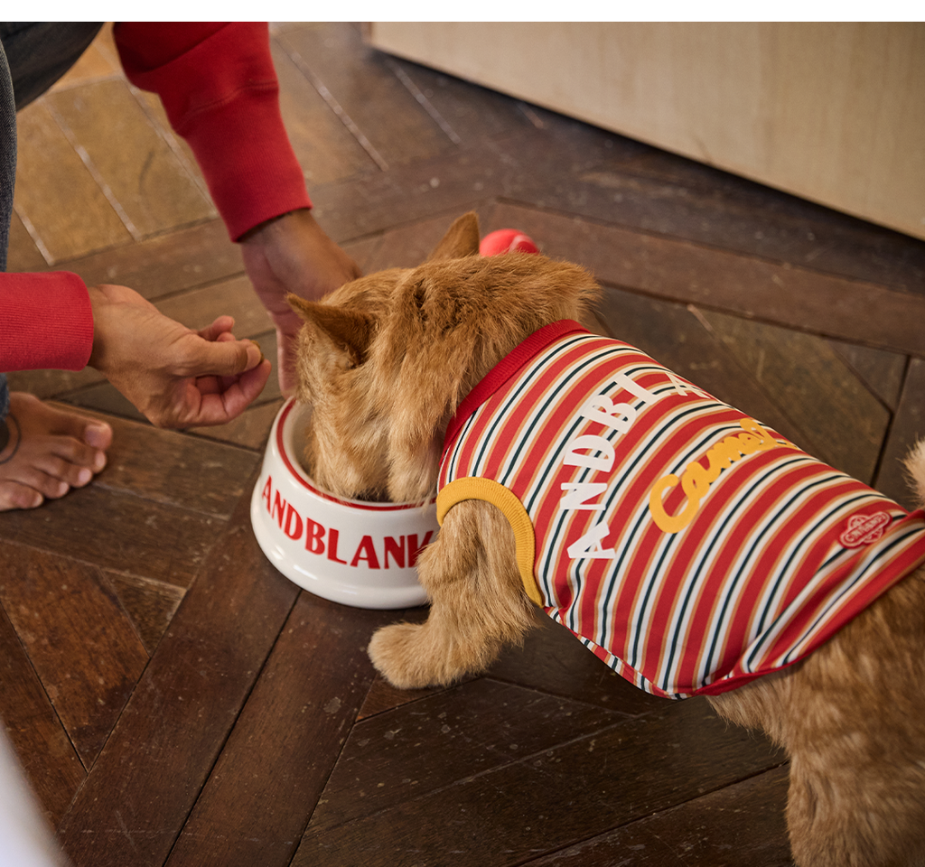 imgi_64_dd92ec45e3982拷貝2