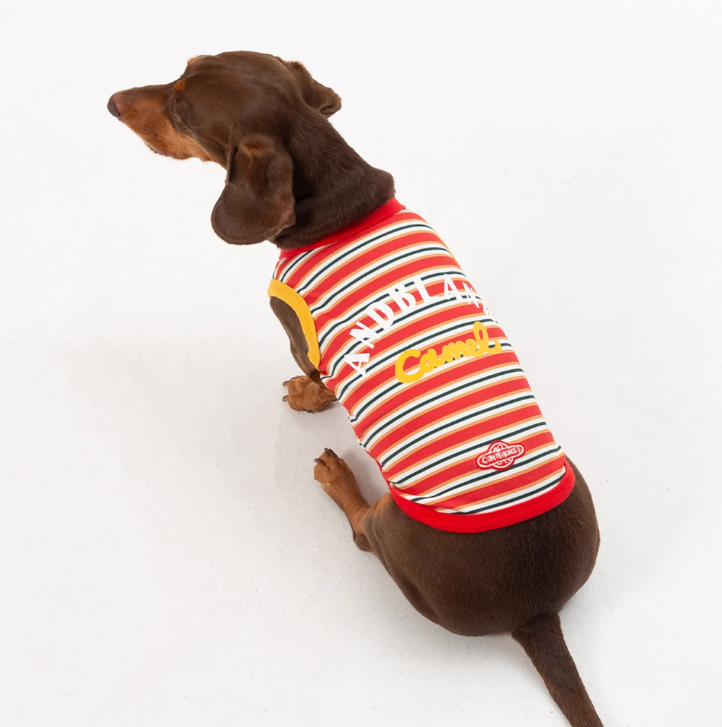 截圖 2025-09-18 下午9.42.54