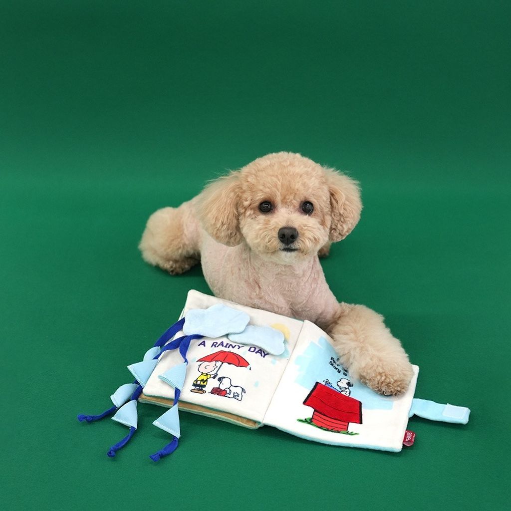 imgi_17_e85d65c49ad42a080ded35c666552798