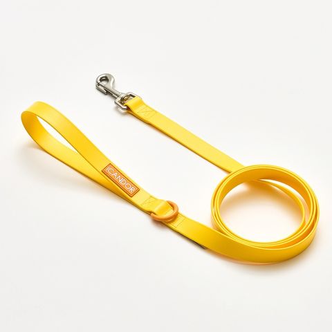 imgi_11_29aa168e326ab1c2d4e971ce8a3be916