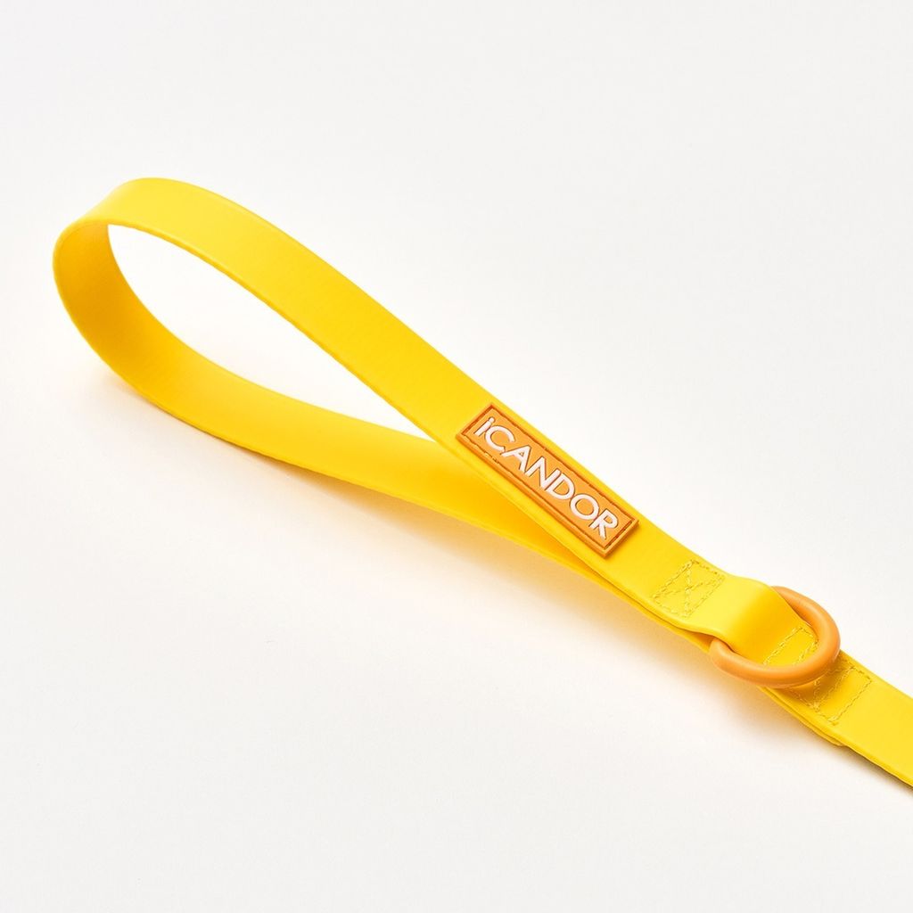 imgi_9_0912d757da12f74864a3c3b912ef1ab8