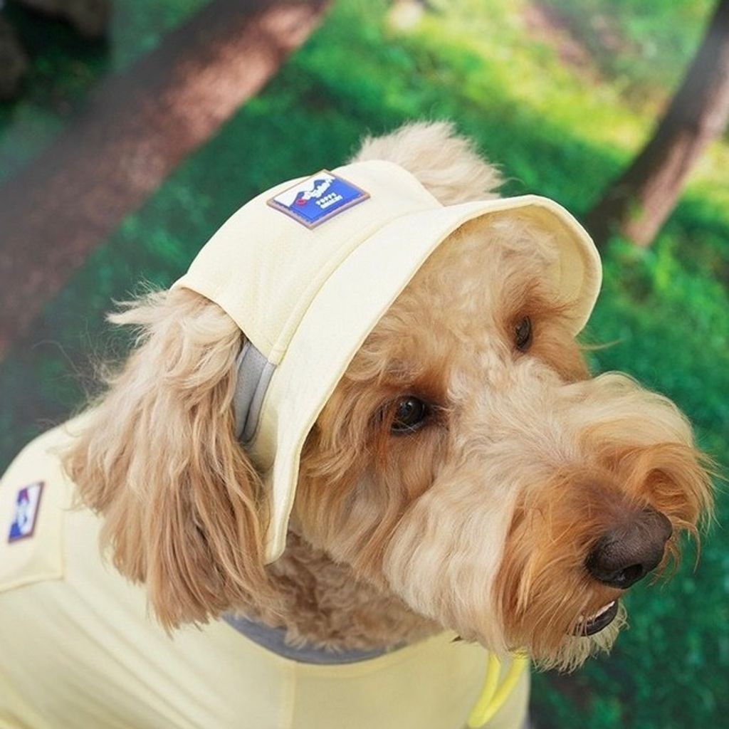 imgi_7_tw-11134207-7qul9-lft8l0fe7i2268