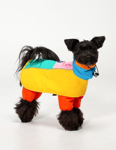 imgi_9_e13606b91c828