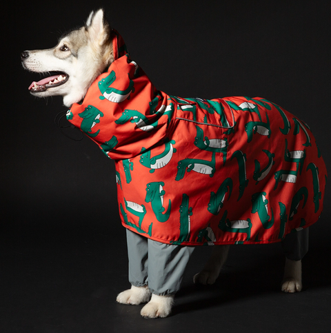 螢幕擷取畫面 2025-09-25 145034