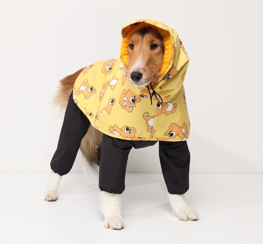 螢幕擷取畫面 2025-09-25 154247