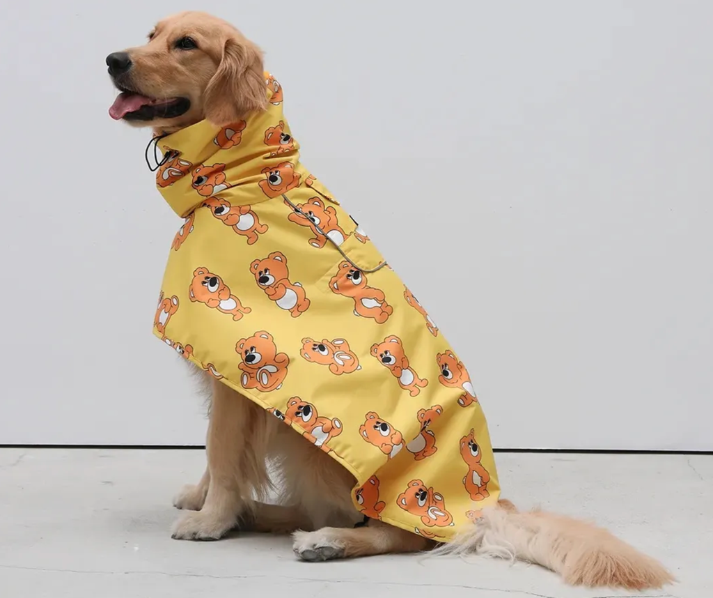 截圖 2025-09-25 下午11.55.23