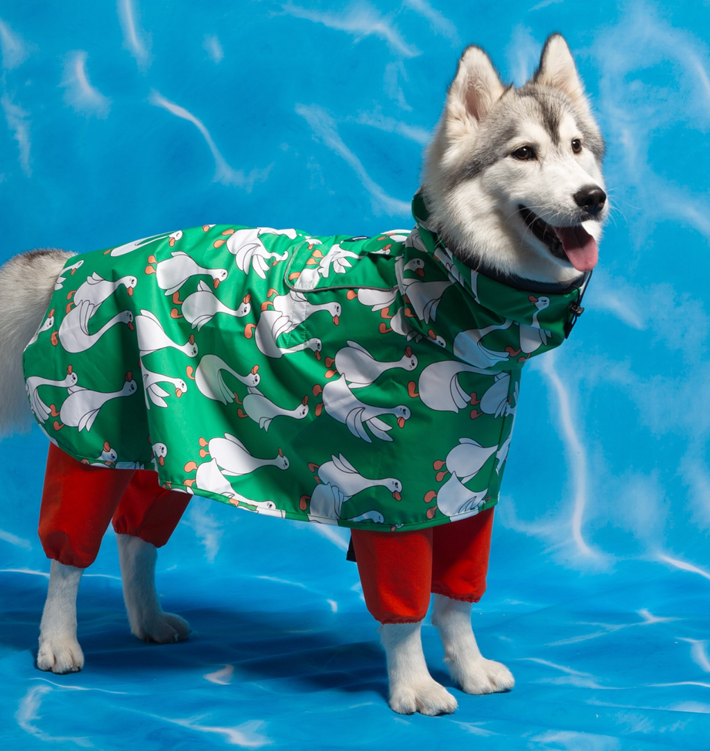 截圖 2025-09-26 上午12.03.08