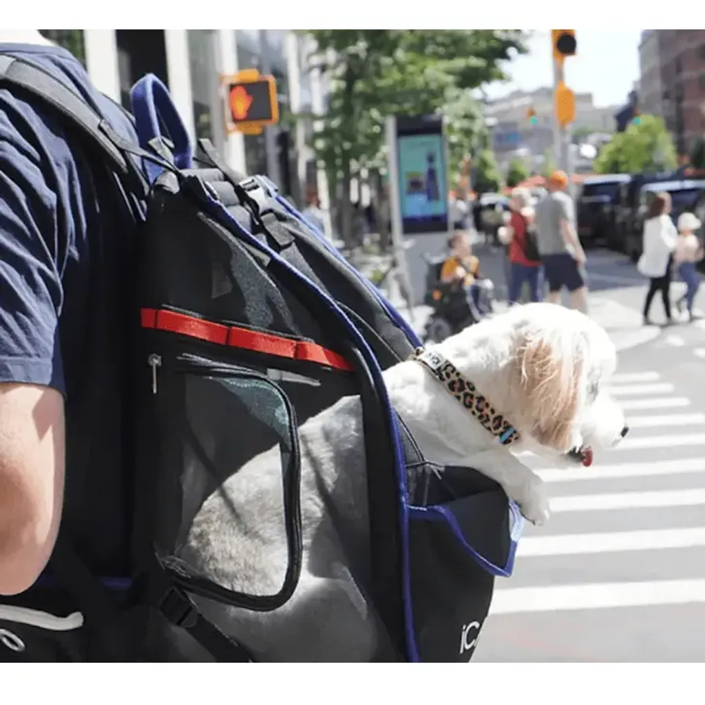 tw-11134207-7rasj-m4fv24eawavf39@resize_w900_nl