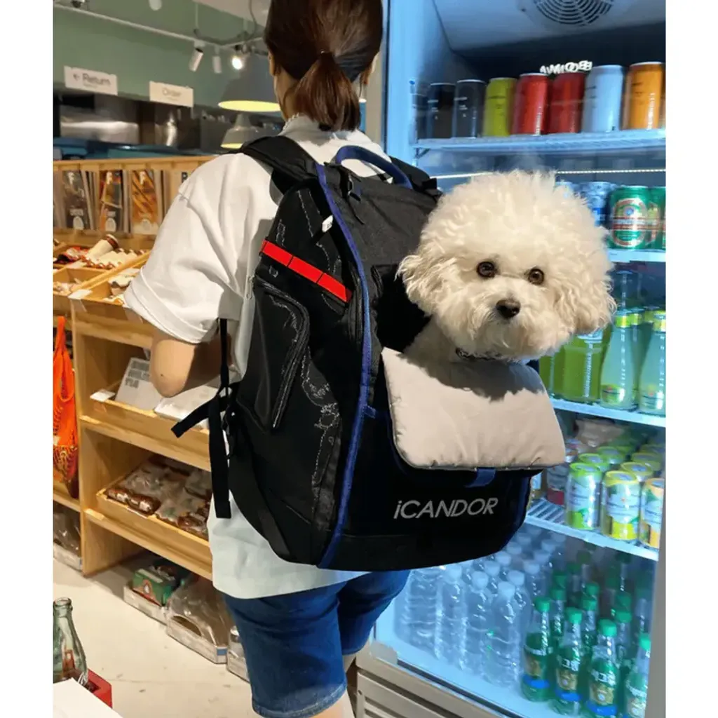 tw-11134207-7rasf-m4fv17tqn0nfb4@resize_w900_nl