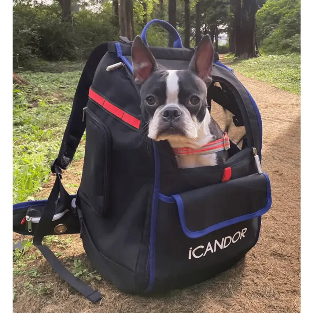 tw-11134207-7rask-m4fv17tqn0sg70@resize_w900_nl