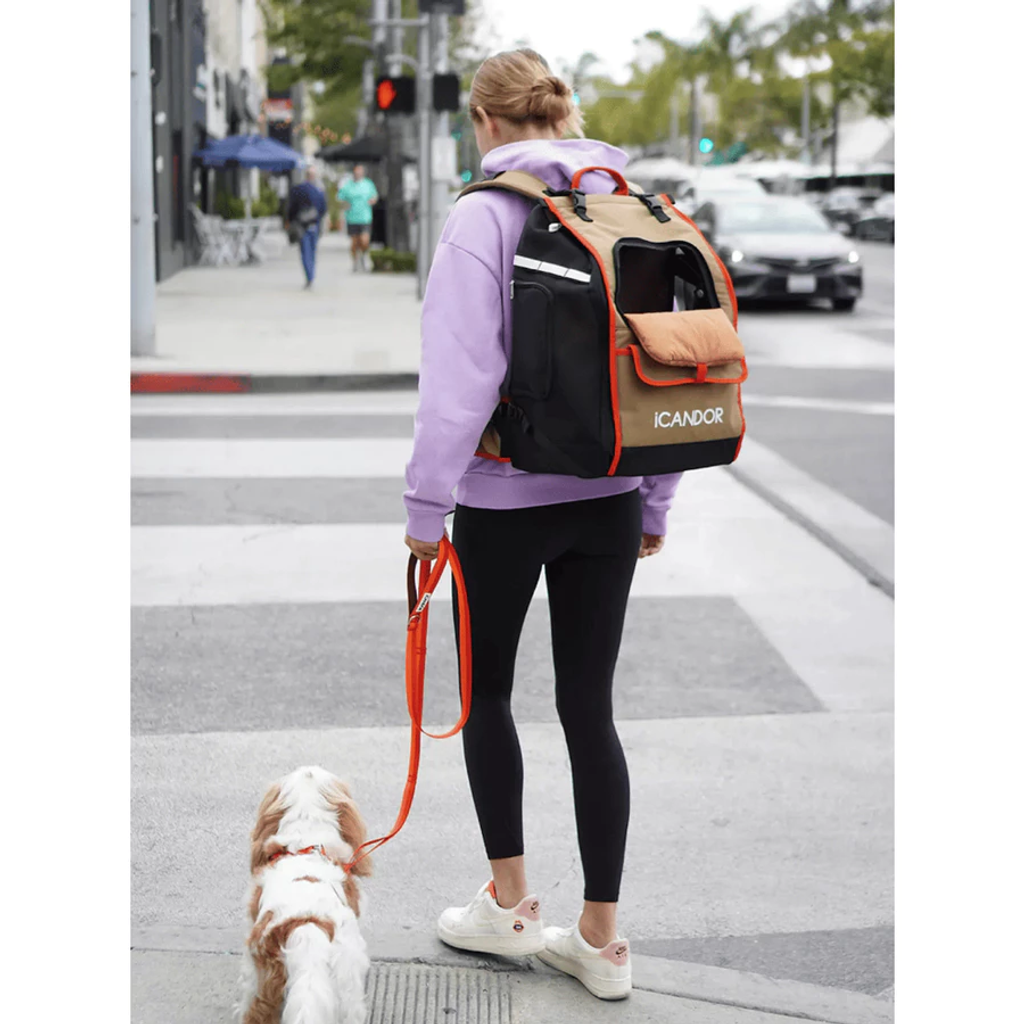 tw-11134207-7rasi-m4fv1e4pc2krf2resize_w900_nl