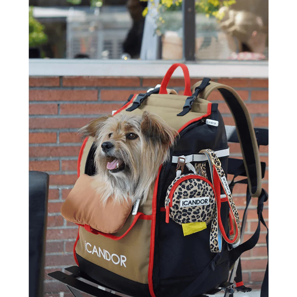 tw-11134207-7rasa-m4fv1e4pgaa356resize_w900_nl