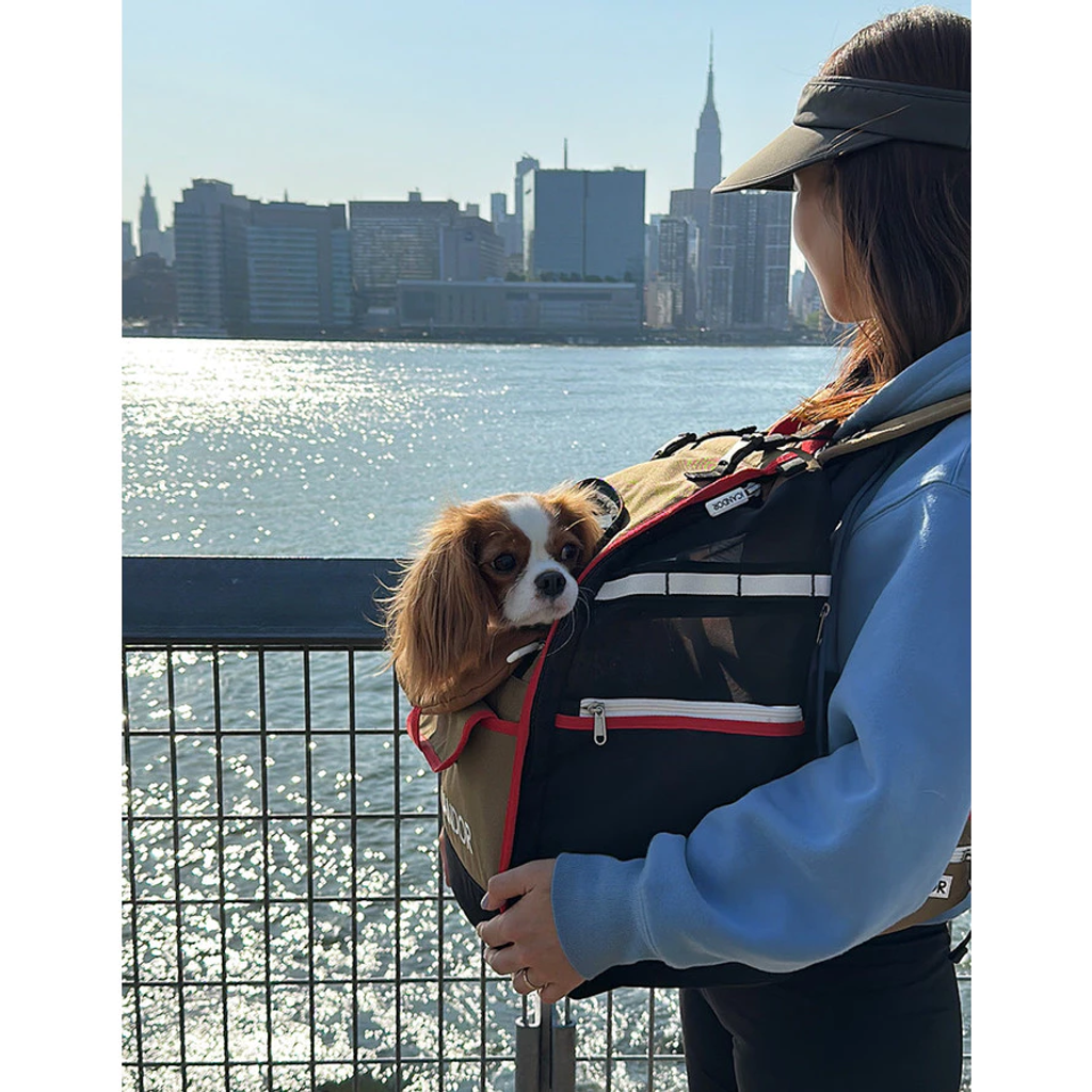 sg-11134201-824hk-mf2vlxg7xsztc5resize_w900_nl