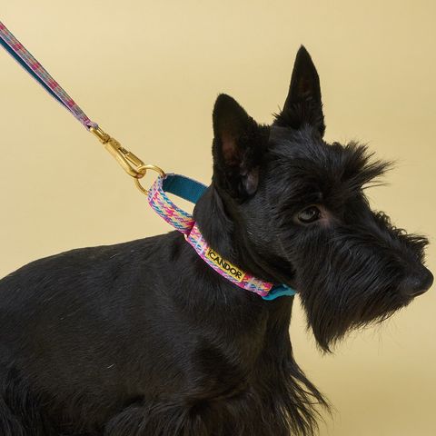 imgi_16_5120c9658e42b80689a60f4218743793