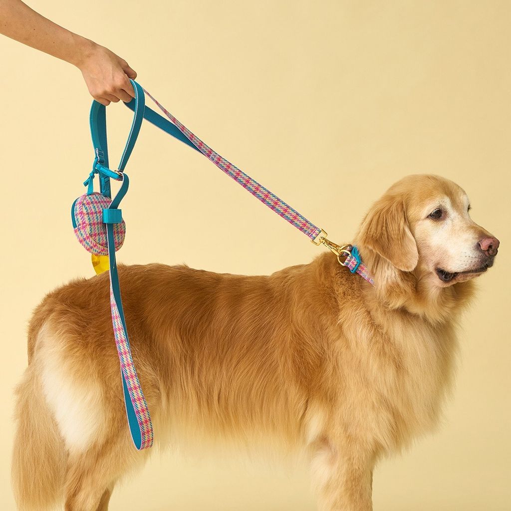 imgi_15_d0f1b76e16515d1c7b14fd09fb46c9ef