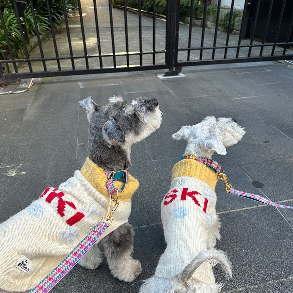 imgi_17_3f6f70e941a8506a30282e21ba997b62 (1)