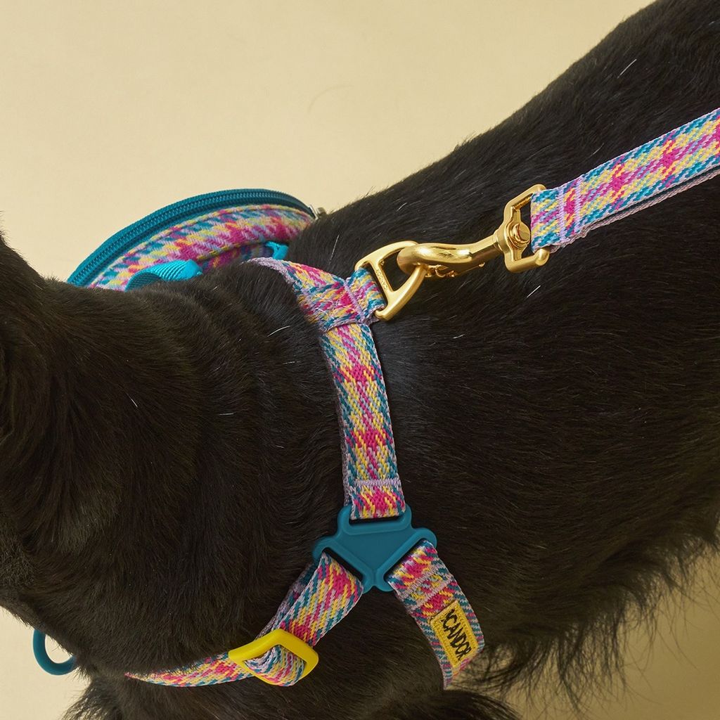 imgi_14_116e6812f6ec1432a04ba94fa976d17a