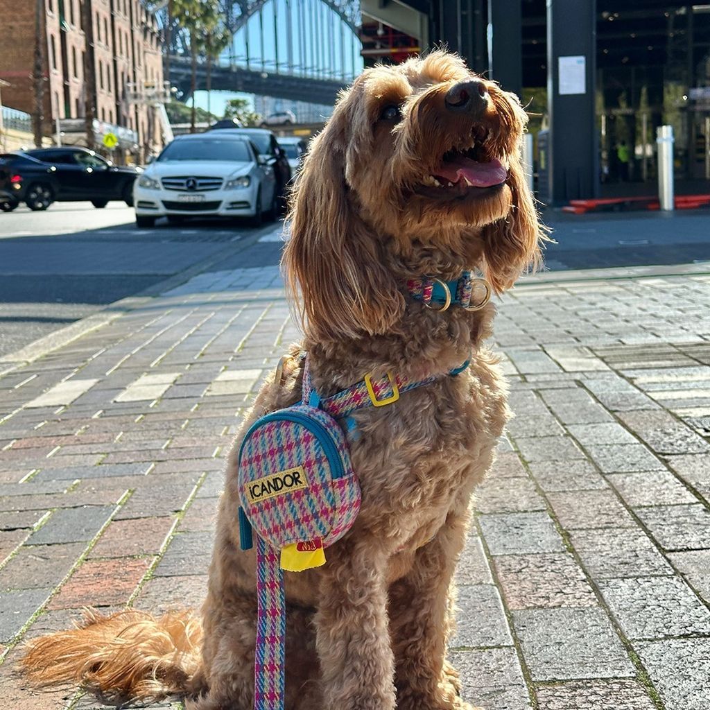 imgi_15_ab138aa20205e6d8ab12e3a878f79958