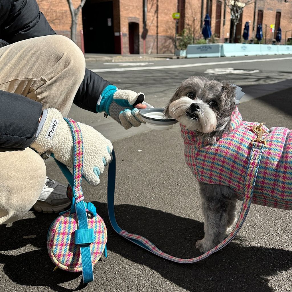 imgi_16_3b5839748ea6747b6973e74acfba5499