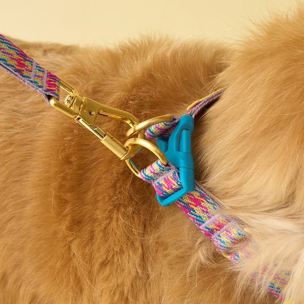 imgi_14_9c0aad8510e63e4b00b3c92a3a0ccb5a