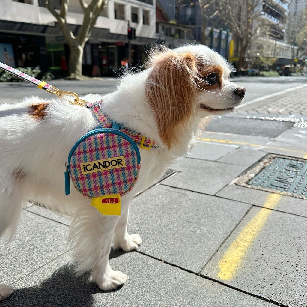 imgi_13_a54bbc5398170afb298e29110eb76272