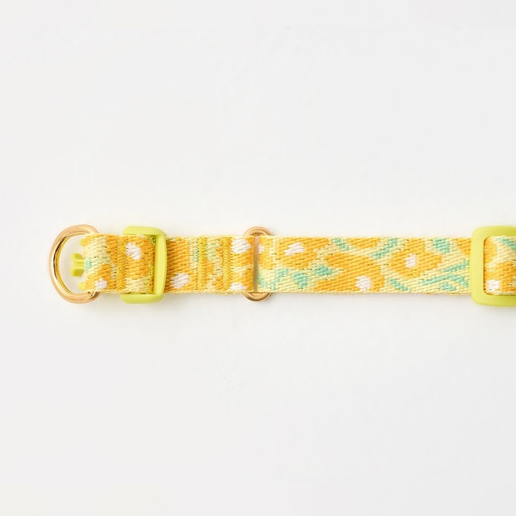 imgi_9_ad5fe7ebf5ed471278e0f1e2ed484666