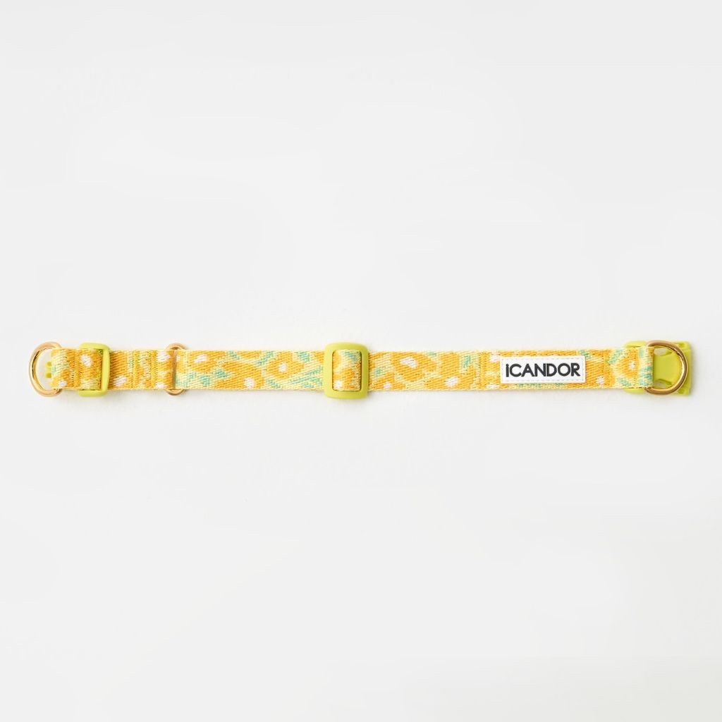 imgi_8_34e9a1b8343b73259de3c999296e1dea