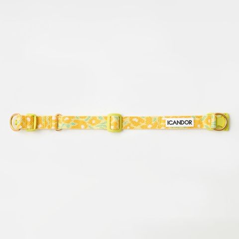 imgi_8_34e9a1b8343b73259de3c999296e1dea