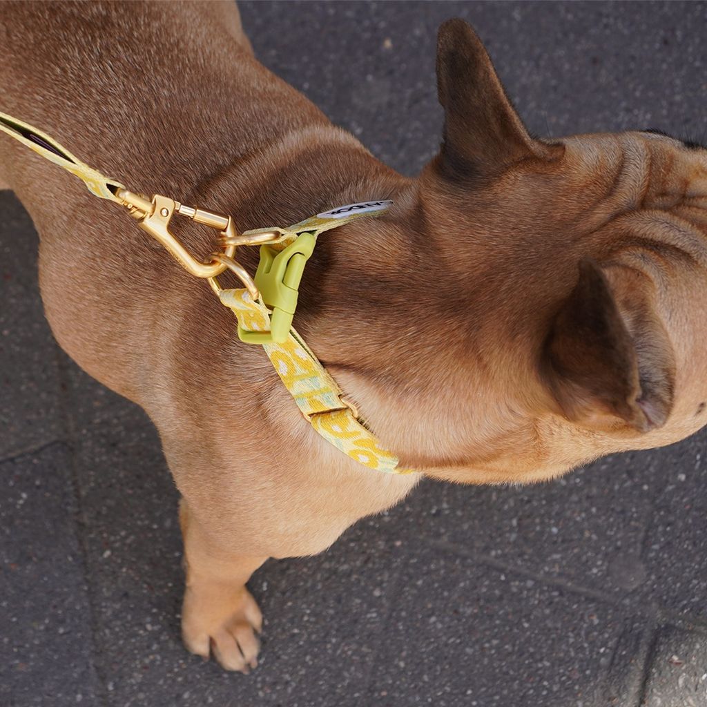 imgi_17_7f80886d22a6fb75f4b5436e16acd39b