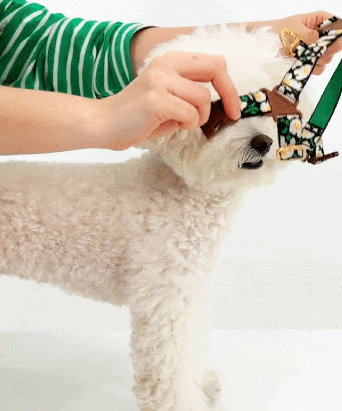 copy-1713076175-EBB985ED94BCEC89AC20ECB0A9EC9AA9EBB0A9EBB295