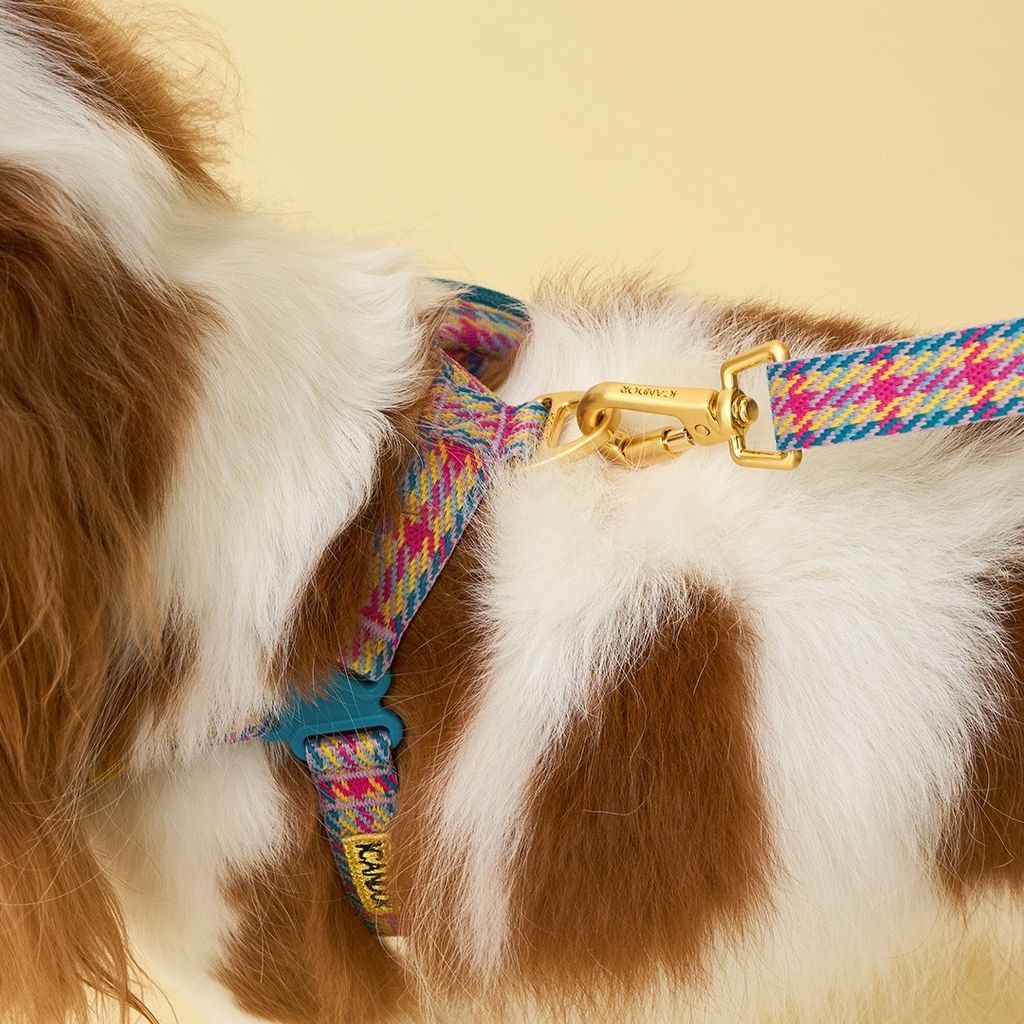 imgi_17_78ed229c24c85846a0581422b3f8e7c5