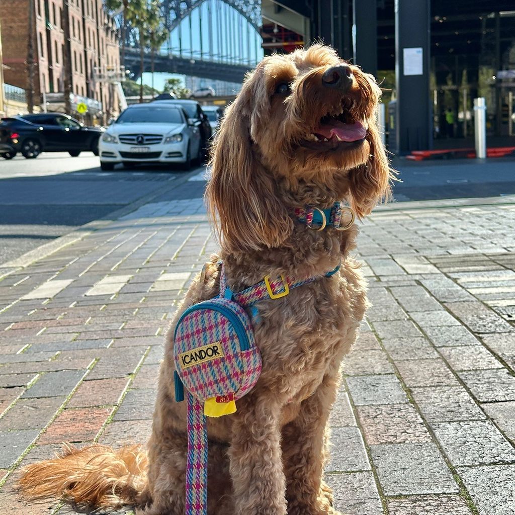 imgi_18_33376957725f06faab5624066b6b283d