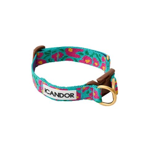 imgi_5_c07424d04e8caa3b5fd26139050821fb