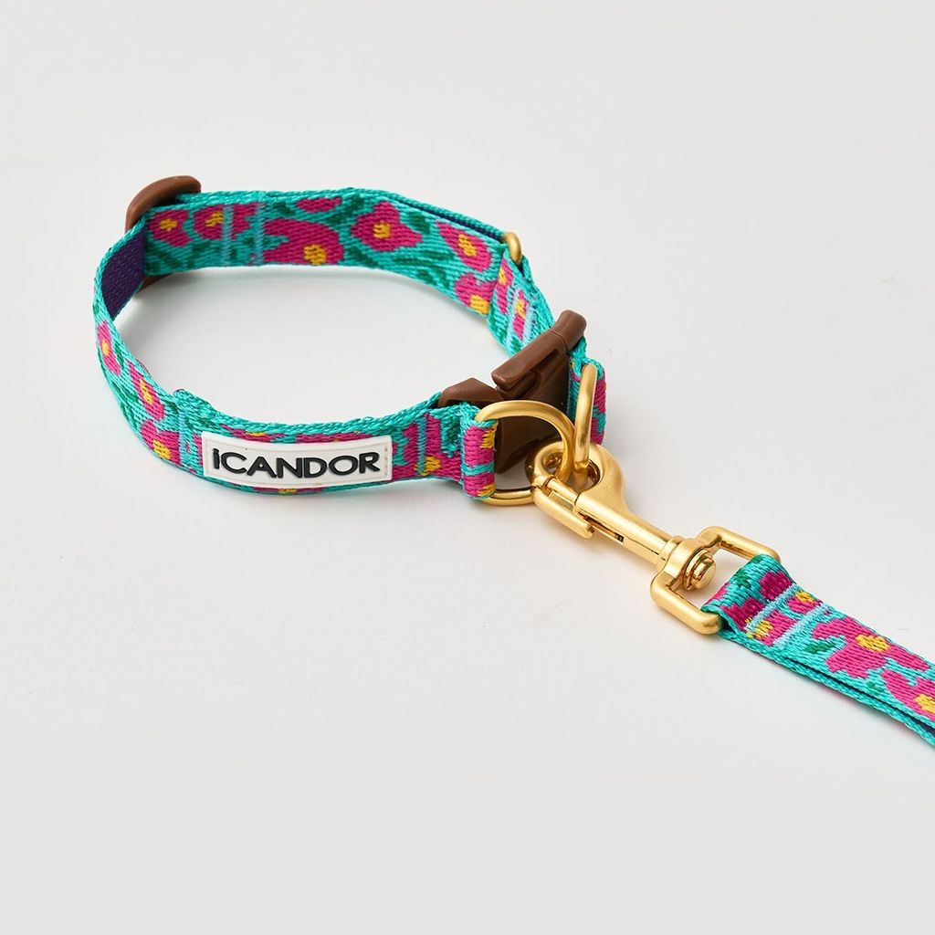 imgi_11_a845025974a74bdf899a380613961ab6