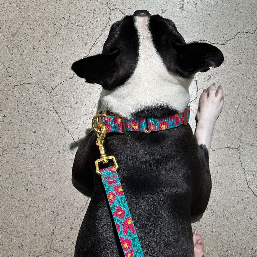 imgi_14_1d074e99766e3a40f810b4552076af06