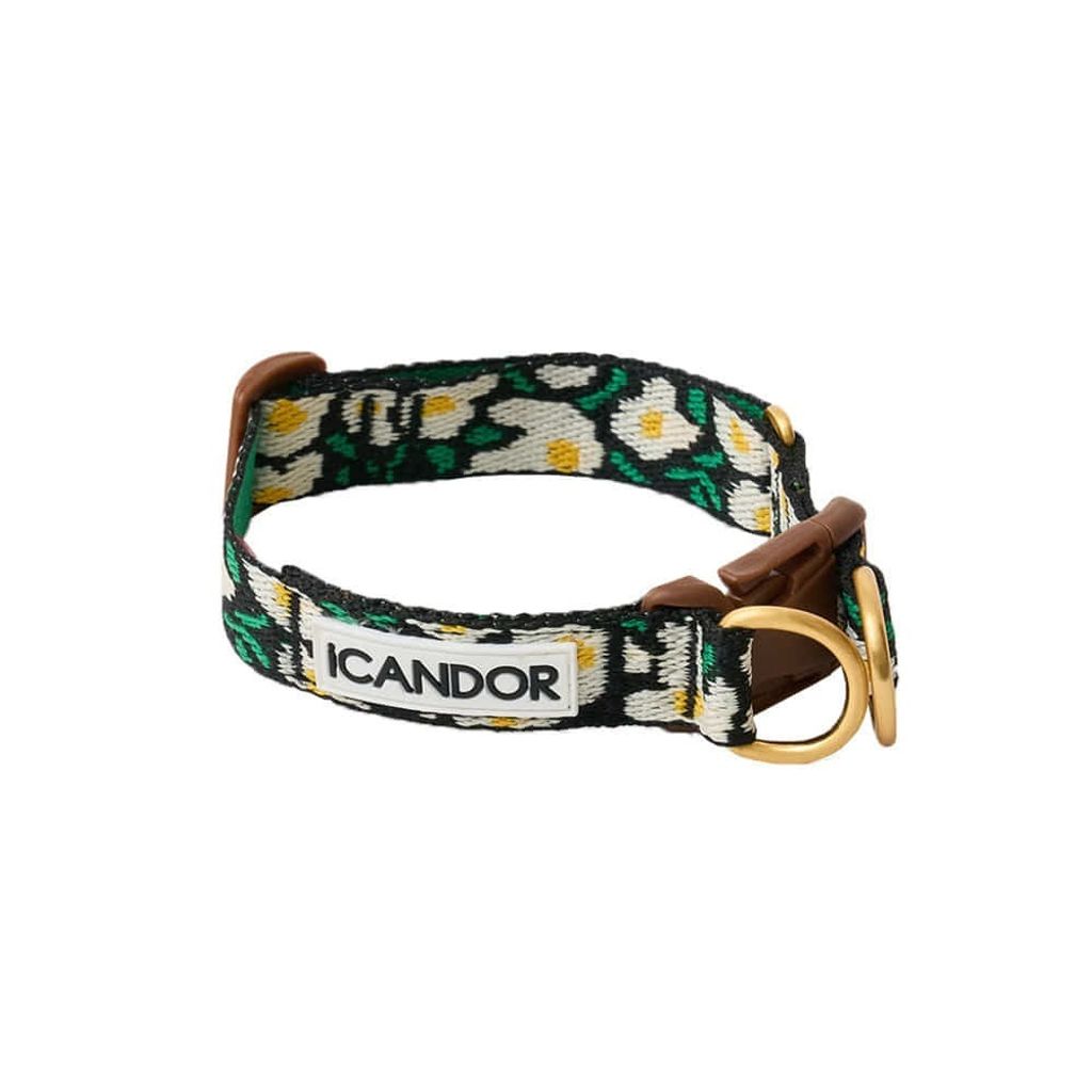 imgi_5_77924e04b5af7358d6bf05fdf113737f