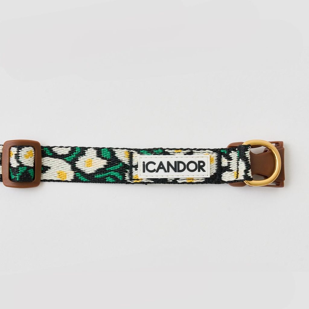 imgi_10_0e6f188229567145ed72151946db81ba