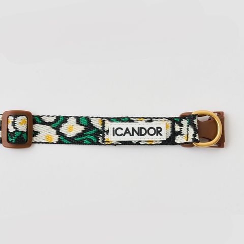 imgi_10_0e6f188229567145ed72151946db81ba