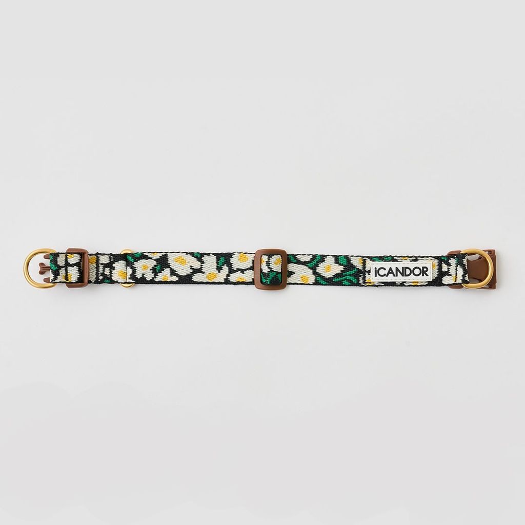 imgi_8_7e772cf1154e259f24fa7cd88d1261f4