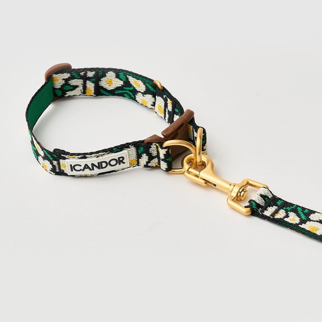 imgi_11_a4a9ef4db8684b73b08d5683dab2cd8d