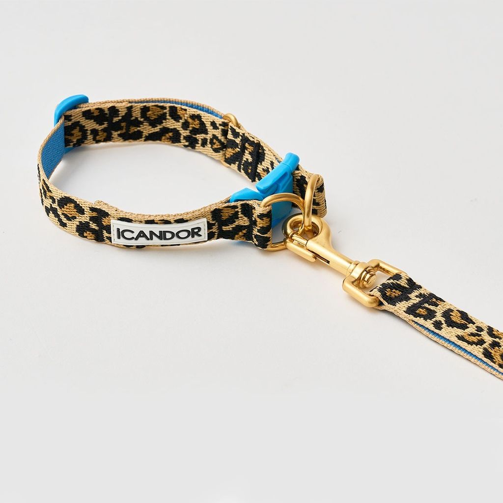 imgi_11_936875db4cda2e27a4e0a00567fde602