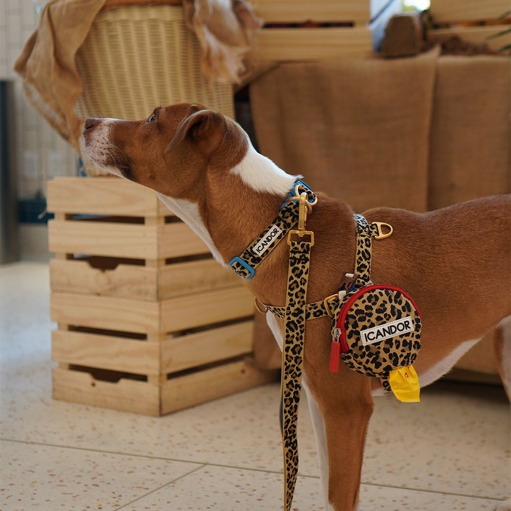 imgi_17_4b4ec672a3a3061e83eb65c2516c0123