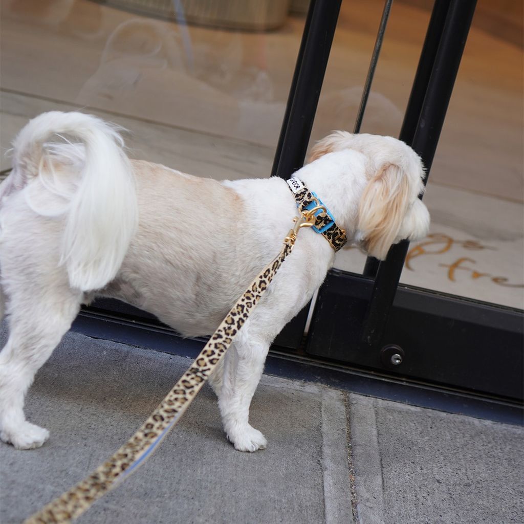 imgi_13_9bab7b7c06074a042c6b2c292543ed23