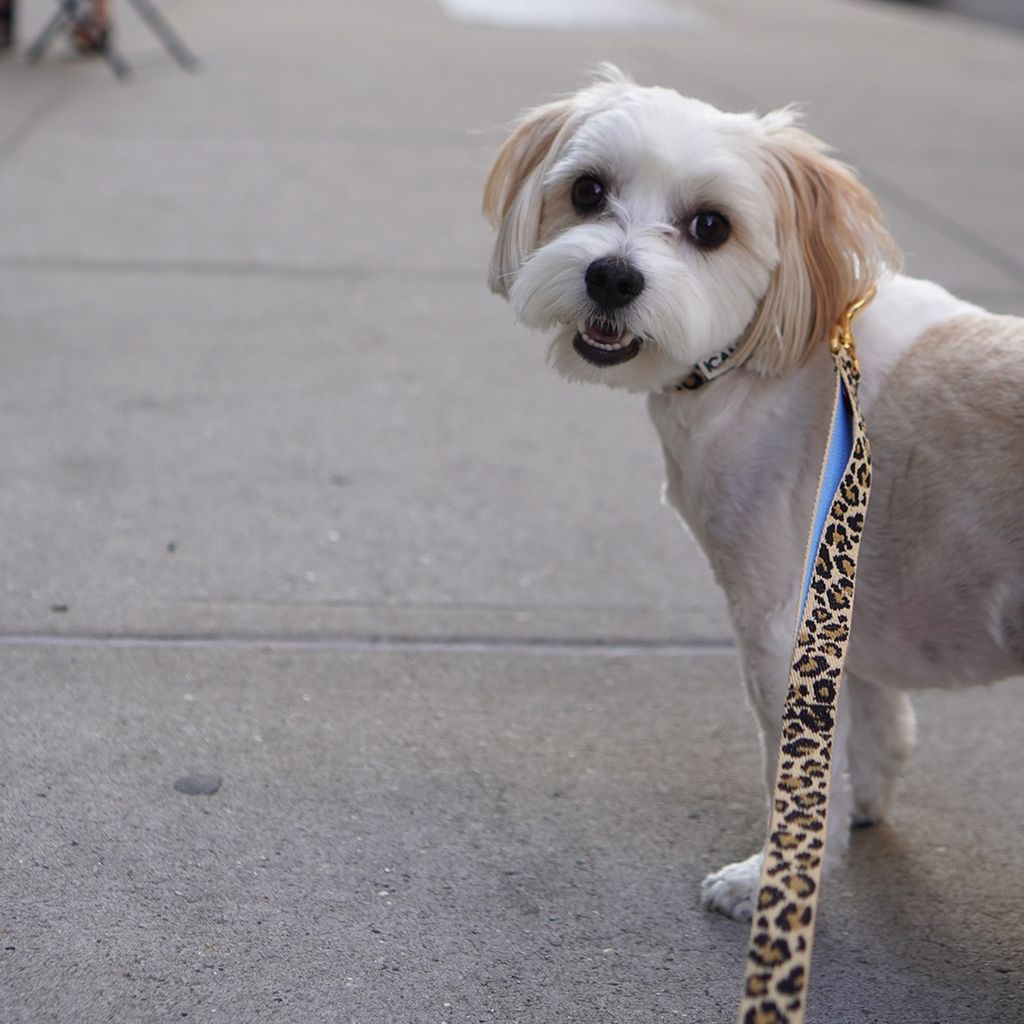 imgi_14_37c2f475e5cb5c1a46a9bc2972304a8b