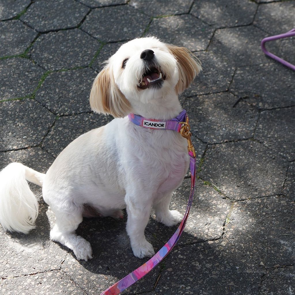 imgi_13_4ccdc7132884d3ced9bb63db12e9ba1c