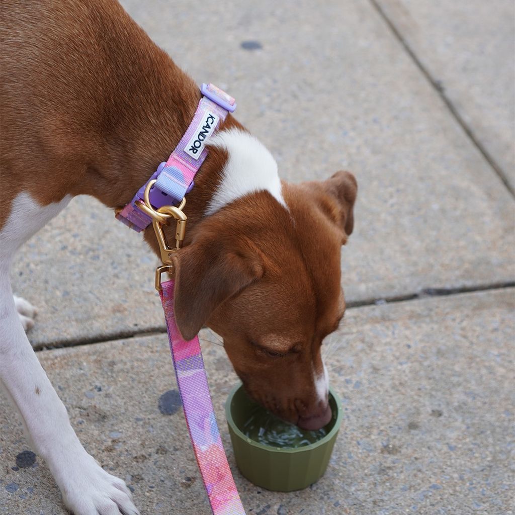 imgi_15_e960fef423a3ba2c473d4793a3a57f7d