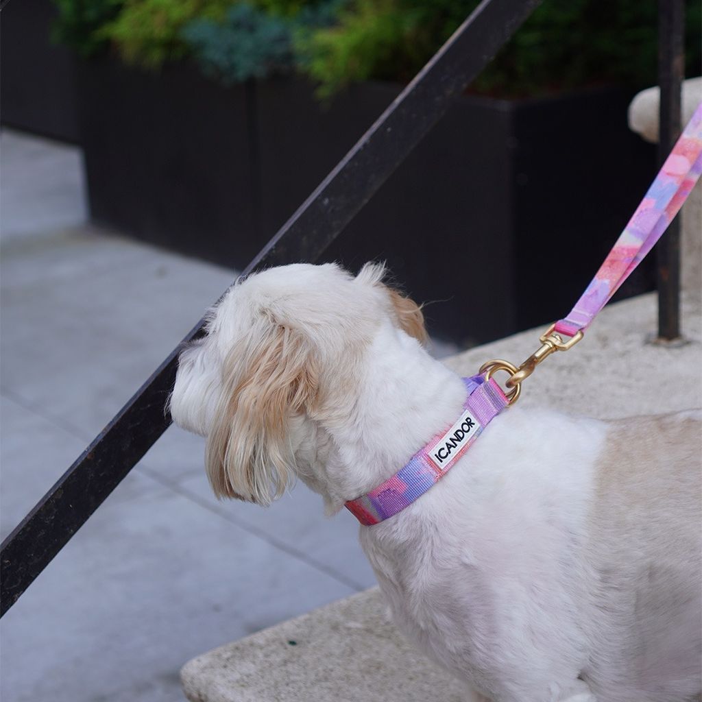 imgi_14_1f6d4c920e0c6d0838e4d8602c5330de