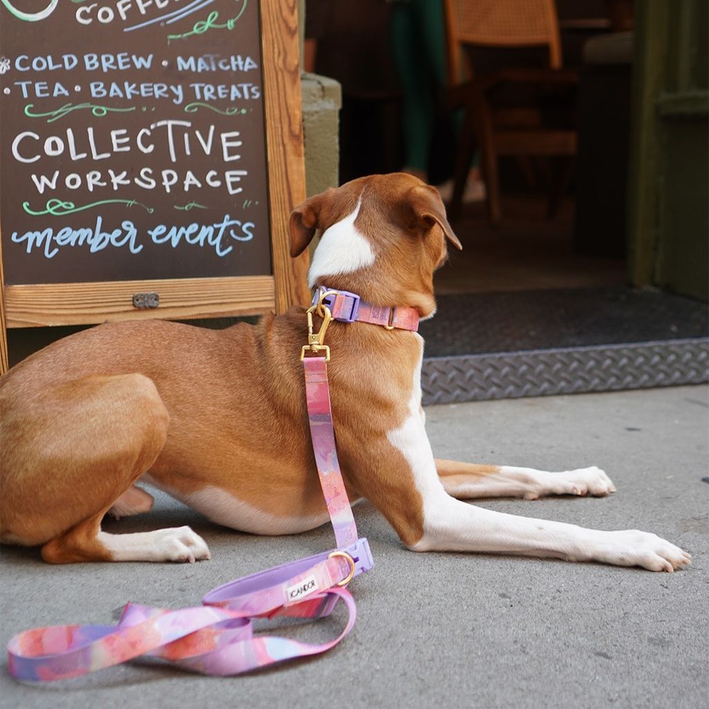 imgi_17_9cb21ca57b09d8b166091094872c09aa